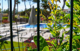 Dozens of holidaymakers injured: children suffer chlorine poisoning in a hotel pool in Mallorca