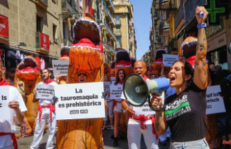 'Bullfights are prehistoric': Activists protest bull running in Pamplona