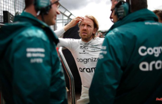 Activists storm F1 track: Vettel understands life-threatening action, but ...