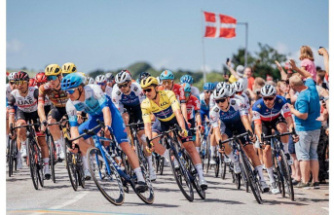 Tour de France. Follow the third stage between Vejle & Sonderborg live