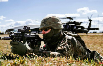 Defense budget rises to 3 percent: Poland's army is also on a shopping spree