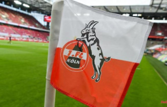 Coach Boris warns his team: Playoff opponents of 1. FC Köln come from Hungary