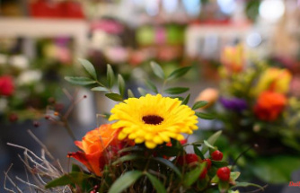 Saxony: flower shops and garden centers: IG BAU warns of staff shortages