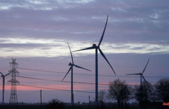 Bavaria: State forests want to auction sites for wind turbines