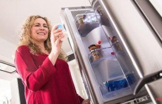 Fridge-freezer combinations in the product test: power consumption catches some devices cold