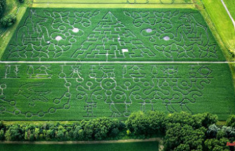 Bavaria: corn maze with record size