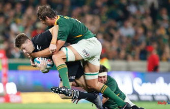 Rugby Championship: the Springboks dominate the All Blacks, beaten for the 3rd time in a row
