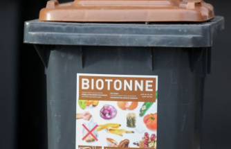 Waste: More organic bins, more gas? Garbage industry calls for action