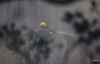 Fire in the Drôme: 220 hectares burned, the fire "progresses"