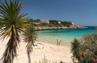 Palma is also badly affected: the seawater around Mallorca is polluted by faeces