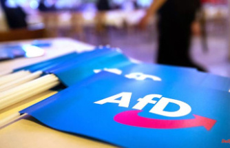 Entrepreneur withdraws lawsuit: AfD can keep 100,000 euros donation