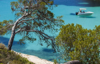 These eight beaches in Mallorca are particularly beautiful