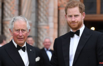 Reconciliation may be near: Did Charles III. and Harry a deal?