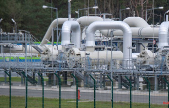 Speculations about sabotage: operator finds several damage to Nord Stream pipelines