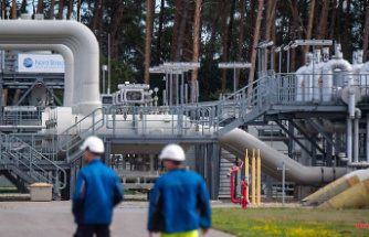 Netzagentur is looking for a cause: Both Nord Stream pipelines have pressure problems