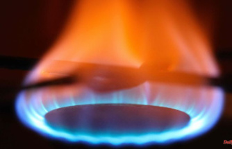 Suspend the debt brake in a targeted manner: SME boss calls for gas surcharge