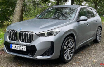 All drive types combined: New BMW X1 - kidney squared
