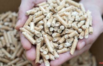 Pellet heating increasingly popular: "Nothing burns dirtier and is more harmful to the climate than wood"