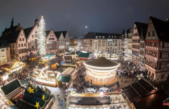 An illuminated tree per city?: Environmental aid calls for no Christmas lights