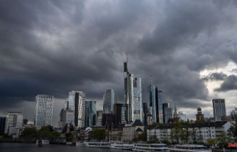 Result of bank stress test: Bafin fears "perfect storm" for banks