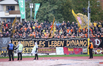 Injured and huge damage: Dynamo fans attack police officers, devastate snack bars