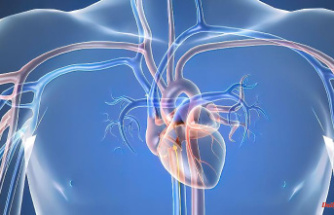 Study on oxytocin after heart attack: "cuddle hormone" heals damaged heart