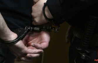 44 arrests in ten countries: Europol succeeds in striking a criminal network