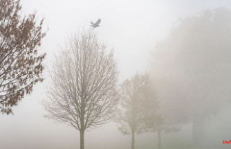 Hesse: fog, rain and clouds: autumn weather for the first Advent