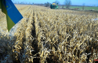 Commemorating Holodomor: Germany increases support for Ukrainian grain exports