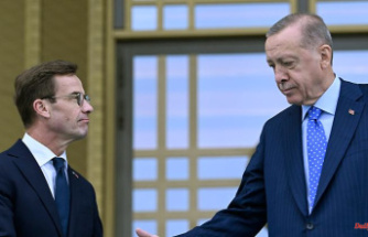 Condition for joining NATO: Sweden extradites PKK member to Turkey