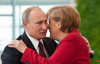 "Thought she was acting honestly": Putin is disappointed in Merkel
