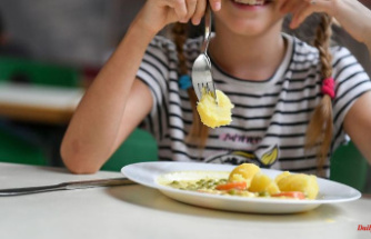Bavaria: Greens demand free organic food for Bavaria's elementary school students