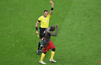 Topless in the cabin: Cameroon's captain flies off the field for naked goal celebrations