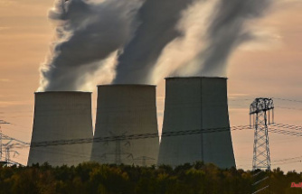 Electricity generation increases 13 percent: Coal is on the rise again in Germany