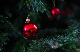 Tradition through the ages: Germans put up Christmas trees earlier and earlier