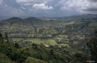 In the east of the DRC, the fighting reaches the coveted territory of Masisi