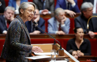 Pension reform: is the government right to say that the deputies vote the text through the motions of censure?