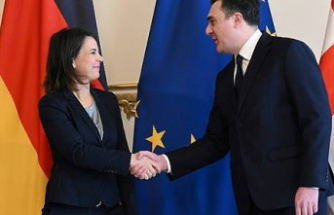 Georgia: reforms are "essential" for EU membership (Baerbock)