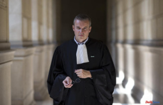 Lawyer Emmanuel Pierrat sentenced for harassment at work to a one-year ban on practicing