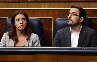 Politics The great battle to put together Díaz's platform: who can vote?