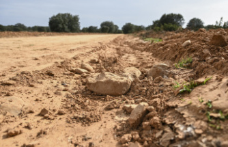 Archeology A section of one of the best Roman roads in Spain is destroyed in Castrocalbón
