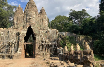 "The wonders of Cambodia", on France 5: beyond Angkor, to meet mine rats and retired elephants