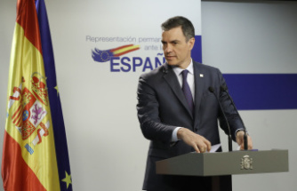 Control Commission The PSOE is left alone in the Eurochamber and fails to stop a critical report on the management of funds in Spain
