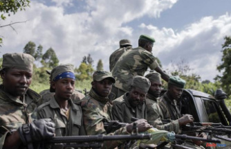 In the DRC, facing the rebels of the M23, Angola is added to the long list of foreign armies