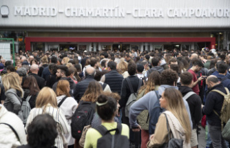 Transport Normalized circulation in the Chamartín station after the breakdown that affected the AVE for several hours