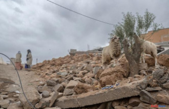 In Morocco, in the High Atlas, agriculture to be rebuilt after the earthquake