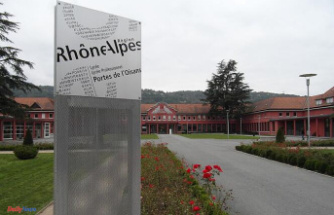 False bomb threats near Grenoble: six high school students in police custody