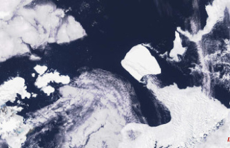 A giant iceberg, measuring almost 4,000 square kilometers, has started moving into Antarctica
