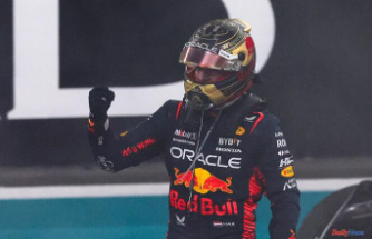 Formula 1: Max Verstappen and Red Bull complete their dream season by winning in Abu Dhabi