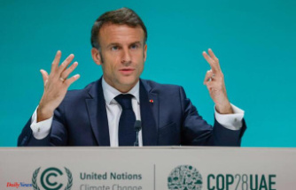 COP28: Emmanuel Macron announces “forestry packages” with two countries worth $150 million